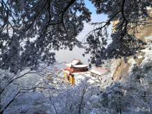 雪后九华山：冰雪裹山林 ，日映更多姿